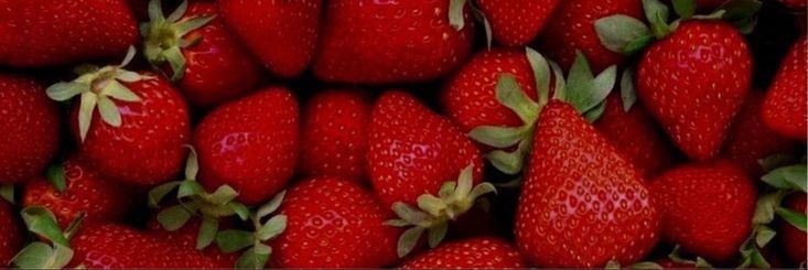 Fresas